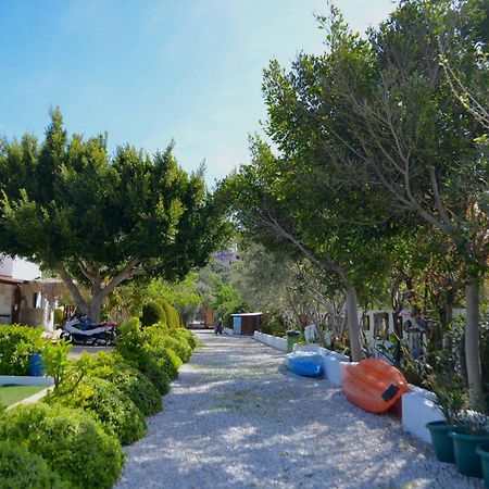 Yueksel Butik Hotel Bodrum Eksteriør billede