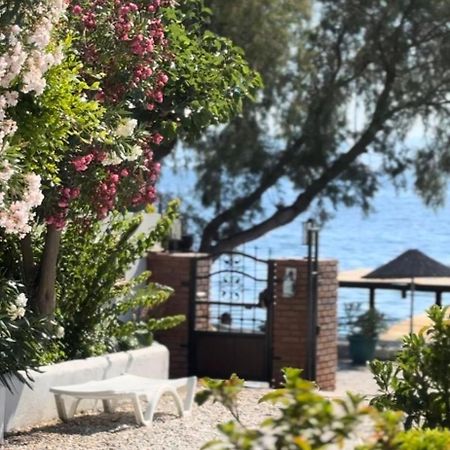 Yueksel Butik Hotel Bodrum Eksteriør billede